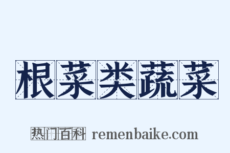 根菜类蔬菜是什么意思的图片